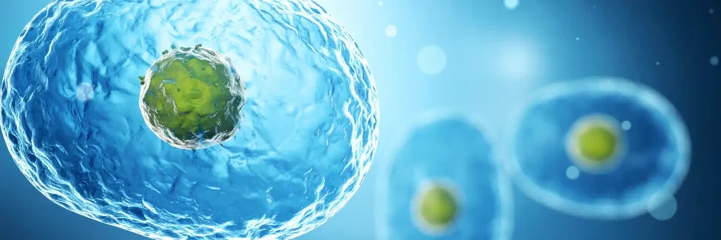 Водата като фундамент на вътрешната среда GANS