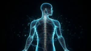 Ролята на водата в човешкото тяло