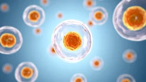 От молекула към поле: как тялото реагира на нематериални сигнали GANS